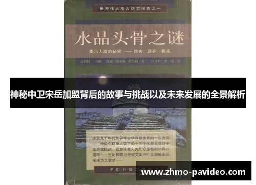 神秘中卫宋岳加盟背后的故事与挑战以及未来发展的全景解析