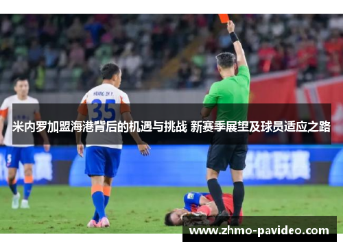 米内罗加盟海港背后的机遇与挑战 新赛季展望及球员适应之路