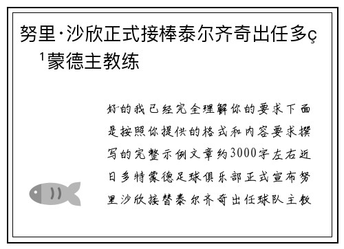 努里·沙欣正式接棒泰尔齐奇出任多特蒙德主教练
